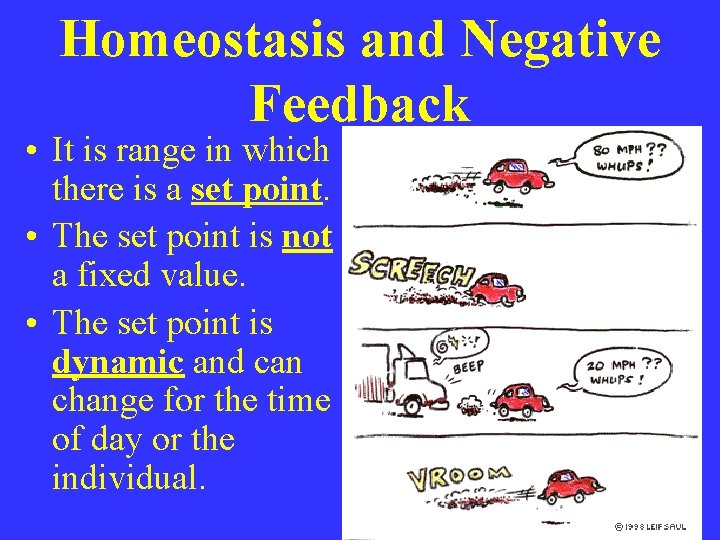 Homeostasis and Negative Feedback • It is range in which there is a set