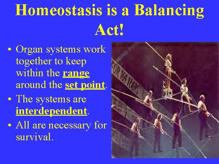 Homeostasis is a Balancing Act! • Organ systems work together to keep within the