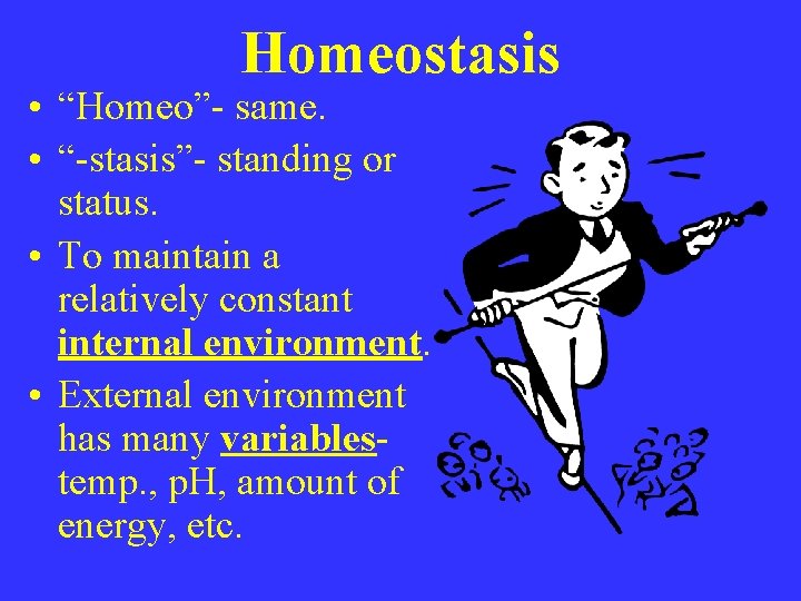 Homeostasis • “Homeo”- same. • “-stasis”- standing or status. • To maintain a relatively