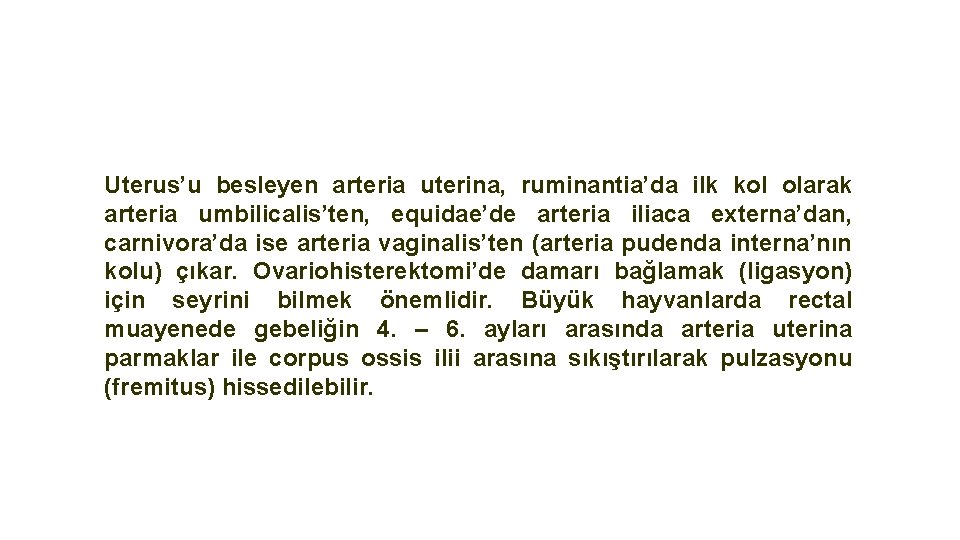 Uterus’u besleyen arteria uterina, ruminantia’da ilk kol olarak arteria umbilicalis’ten, equidae’de arteria iliaca externa’dan,