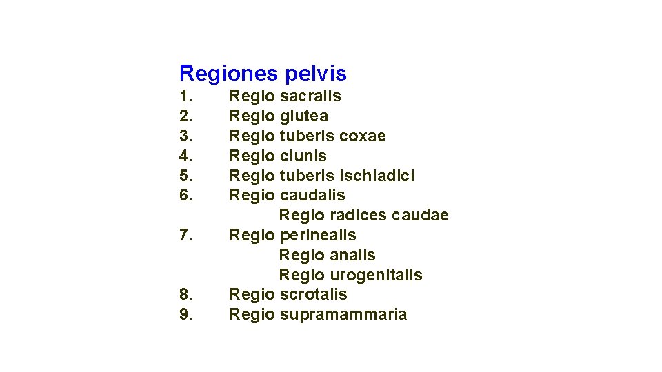 Regiones pelvis 1. 2. 3. 4. 5. 6. 7. 8. 9. Regio sacralis Regio