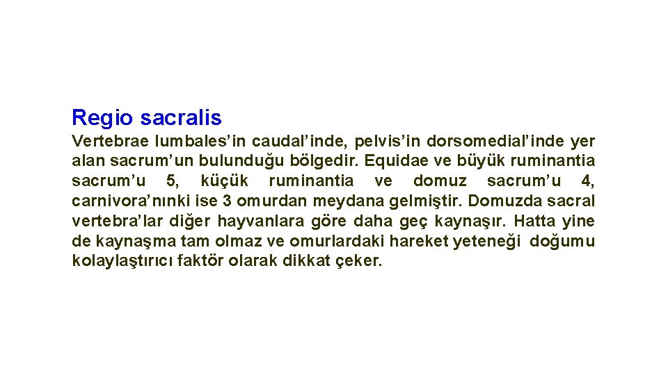 Regio sacralis Vertebrae lumbales’in caudal’inde, pelvis’in dorsomedial’inde yer alan sacrum’un bulunduğu bölgedir. Equidae ve