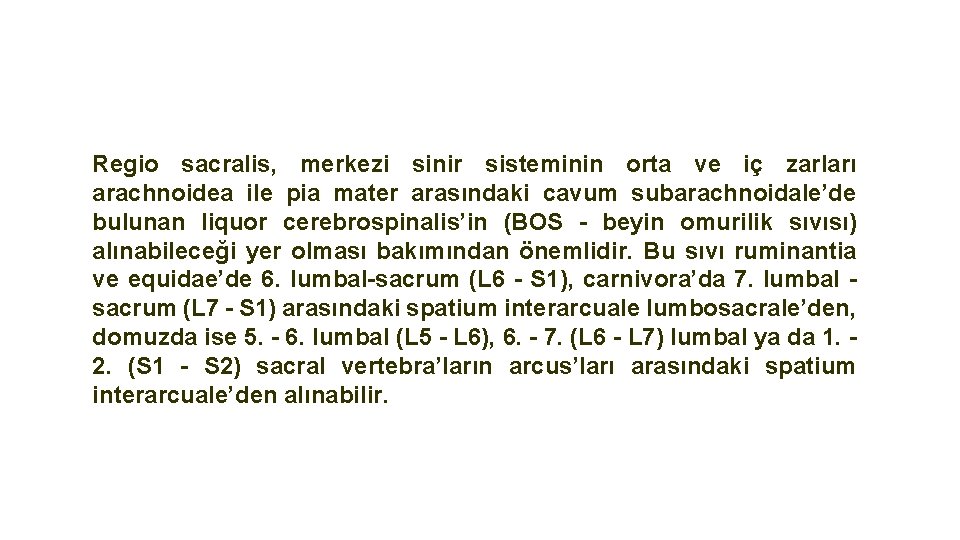 Regio sacralis, merkezi sinir sisteminin orta ve iç zarları arachnoidea ile pia mater arasındaki