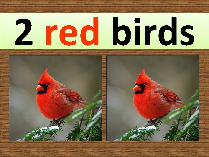 2 red birds 