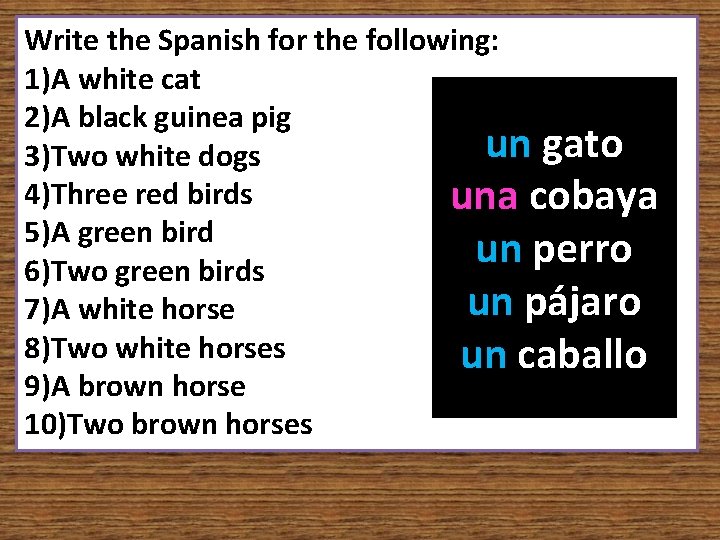 Write the Spanish for the following: 1)A white cat 2)A black guinea pig un