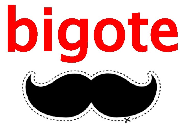 bigote 