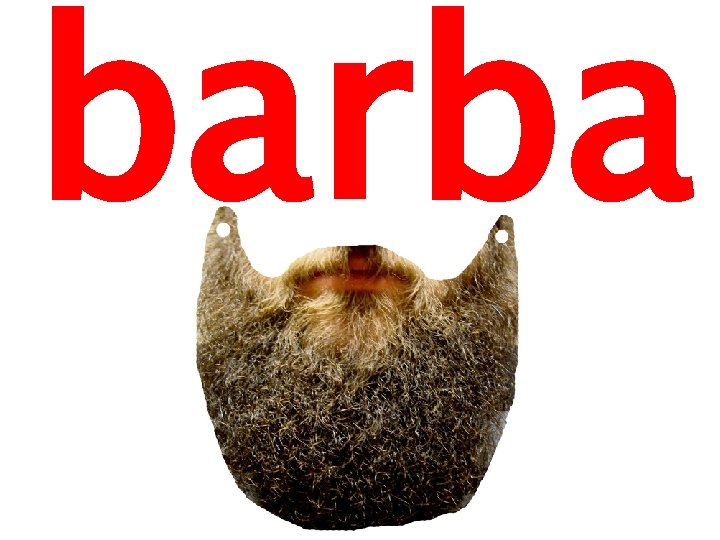 barba 