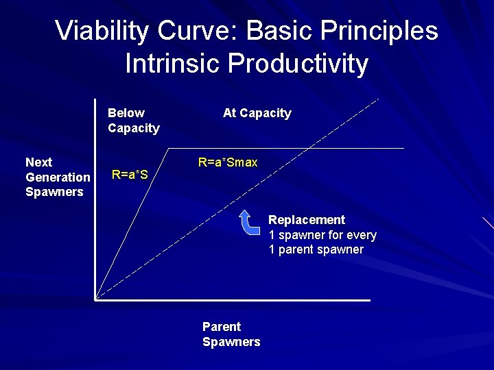 Viability Curve: Basic Principles Intrinsic Productivity Below Capacity Next Generation Spawners R=a*S At Capacity