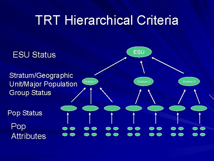 TRT Hierarchical Criteria ESU Status Stratum/Geographic Unit/Major Population Group Status Pop Attributes Stratum 1