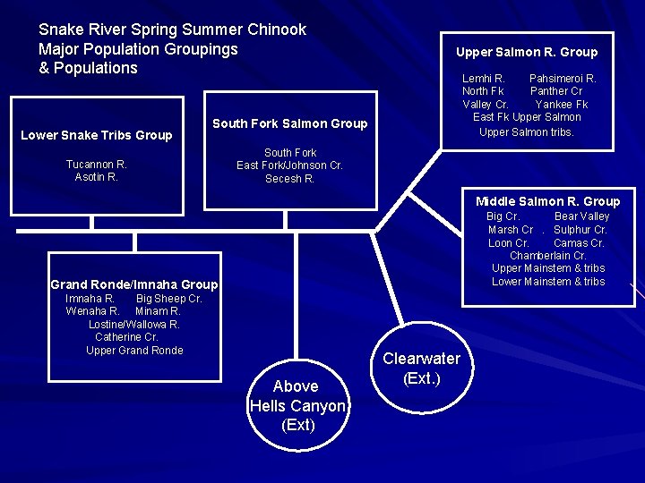 Snake River Spring Summer Chinook Major Population Groupings & Populations Lower Snake Tribs Group