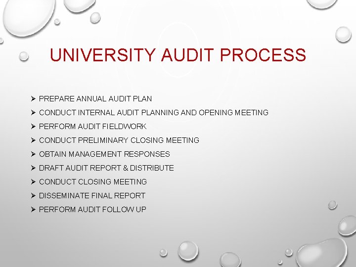UNIVERSITY AUDIT PROCESS Ø PREPARE ANNUAL AUDIT PLAN Ø CONDUCT INTERNAL AUDIT PLANNING AND