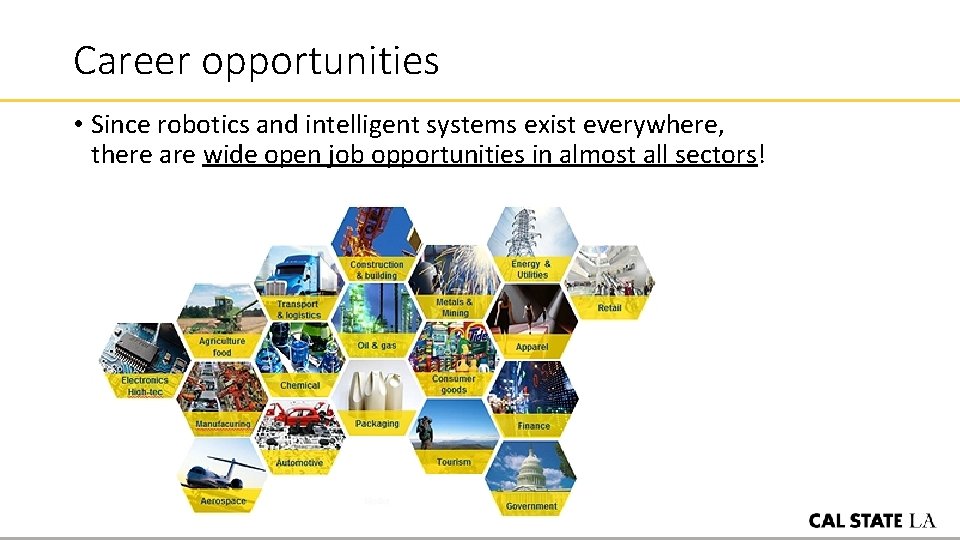 Career opportunities • Since robotics and intelligent systems exist everywhere, there are wide open