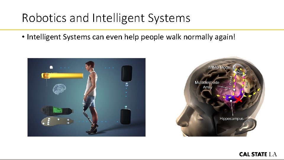 Robotics and Intelligent Systems • Intelligent Systems can even help people walk normally again!