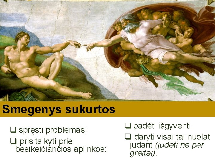 Smegenys sukurtos q spręsti problemas; q prisitaikyti prie besikeičiančios aplinkos; q padėti išgyventi; q