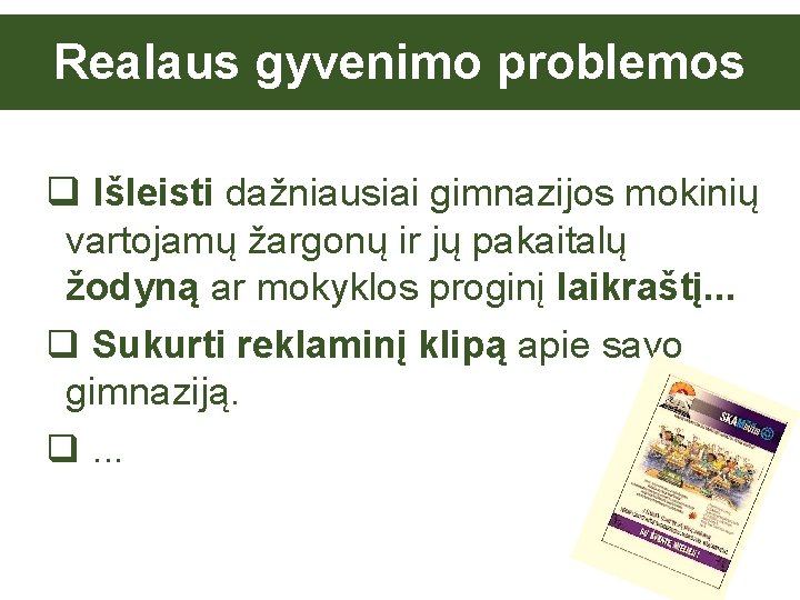 Realaus gyvenimo problemos q Išleisti dažniausiai gimnazijos mokinių vartojamų žargonų ir jų pakaitalų žodyną