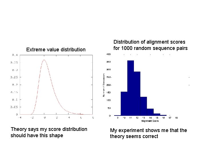 Extreme value distribution Theory says my score distribution should have this shape Distribution of