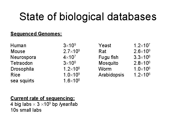 State of biological databases Sequenced Genomes: Human Mouse Neurospora Tetraodon Drosophila Rice sea squirts