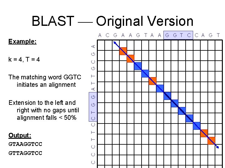 BLAST Original Version k = 4, T = 4 The matching word GGTC initiates