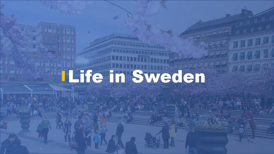 Life in Sweden 