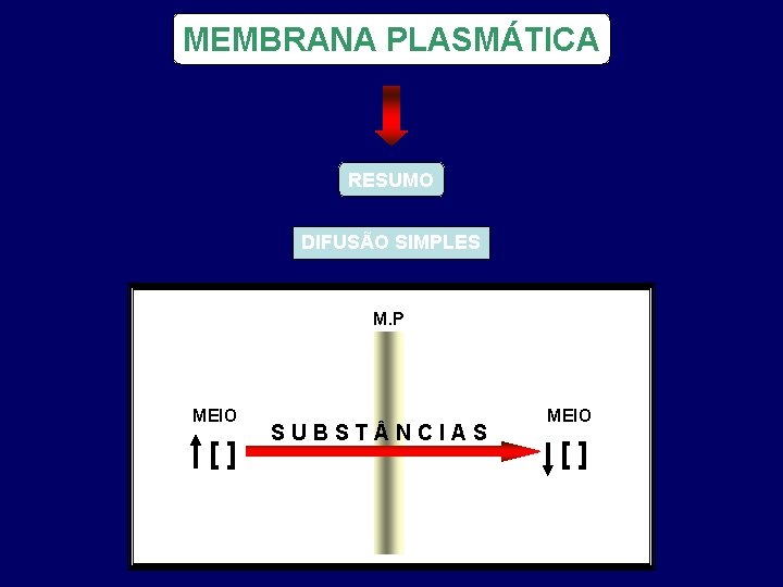 MEMBRANA PLASMÁTICA RESUMO DIFUSÃO SIMPLES M. P MEIO [] SUBST NCIAS MEIO [] 