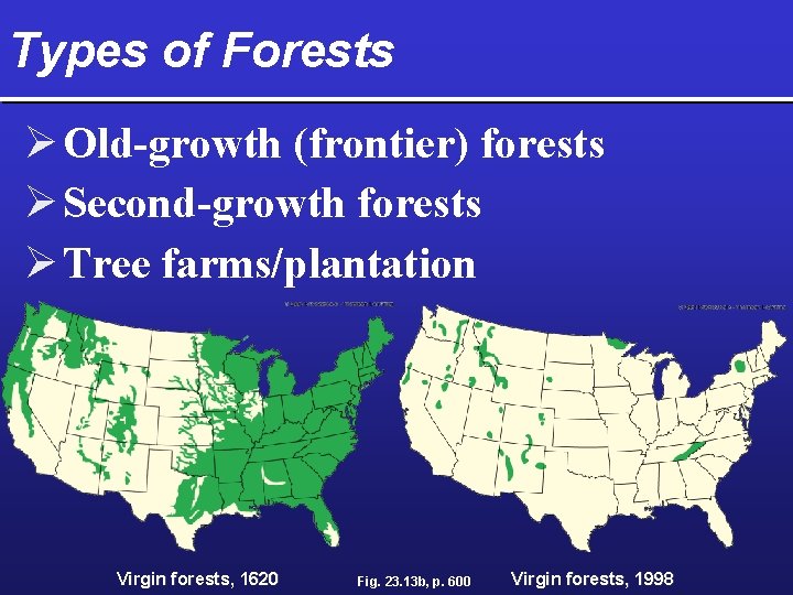 Types of Forests Ø Old-growth (frontier) forests Ø Second-growth forests Ø Tree farms/plantation Virgin