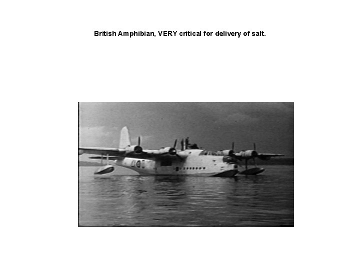 British Amphibian, VERY critical for delivery of salt. 