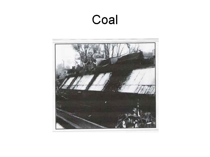 Coal 