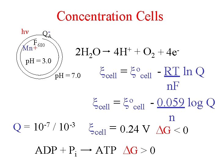 Concentration Cells h QA- P+ 680 Mn + p. H = 3. 0 2
