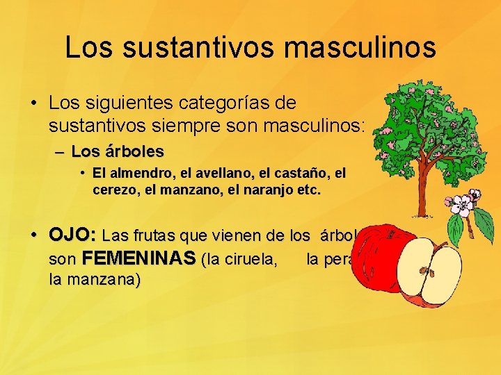 Los sustantivos masculinos • Los siguientes categorías de sustantivos siempre son masculinos: – Los