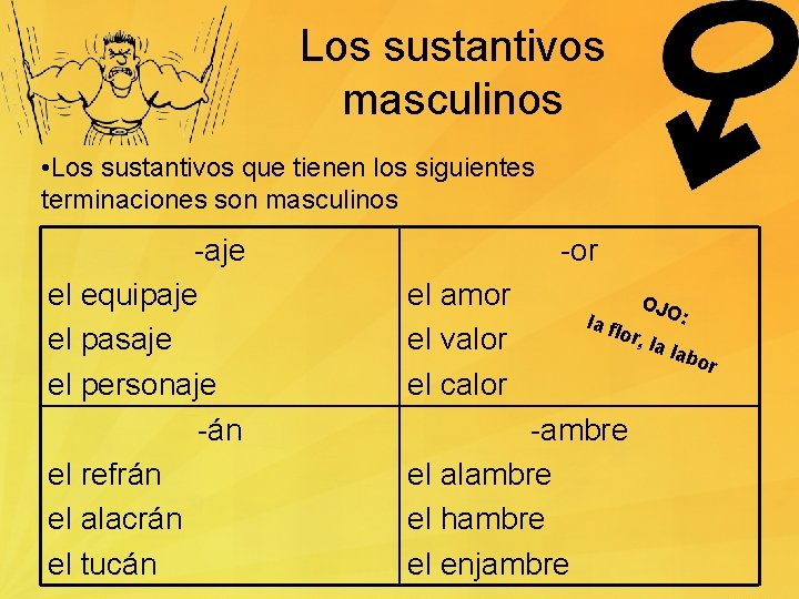 Los sustantivos masculinos • Los sustantivos que tienen los siguientes terminaciones son masculinos -aje