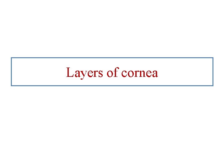 Layers of cornea 