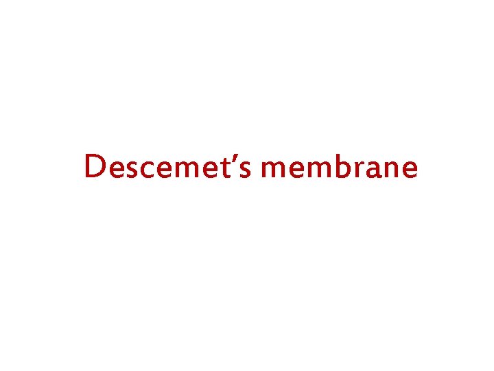 Descemet’s membrane 