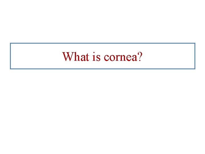 What is cornea? 