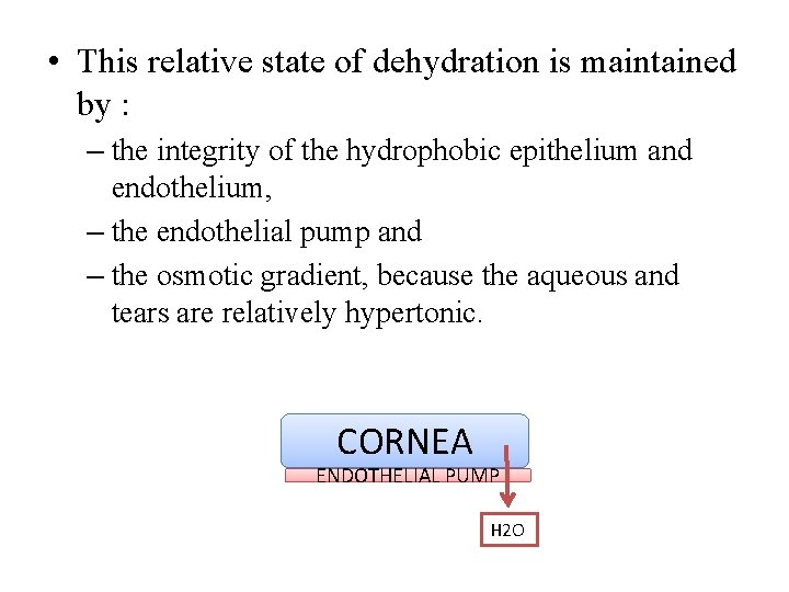  • This relative state of dehydration is maintained by : – the integrity