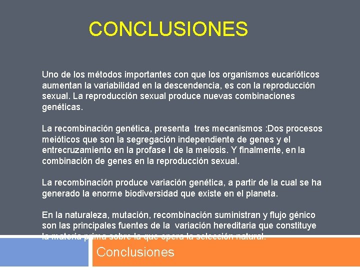 CONCLUSIONES Uno de los métodos importantes con que los organismos eucarióticos aumentan la variabilidad