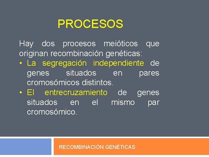 PROCESOS Hay dos procesos meióticos que originan recombinación genéticas: • La segregación independiente de