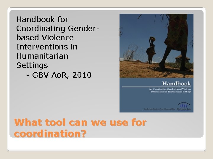 Handbook for Coordinating Genderbased Violence Interventions in Humanitarian Settings - GBV Ao. R, 2010