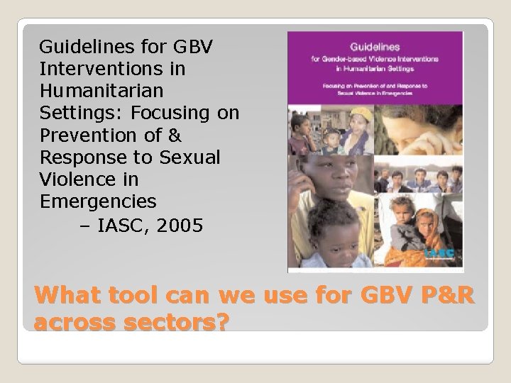 Guidelines for GBV Interventions in Humanitarian Settings: Focusing on Prevention of & Response to