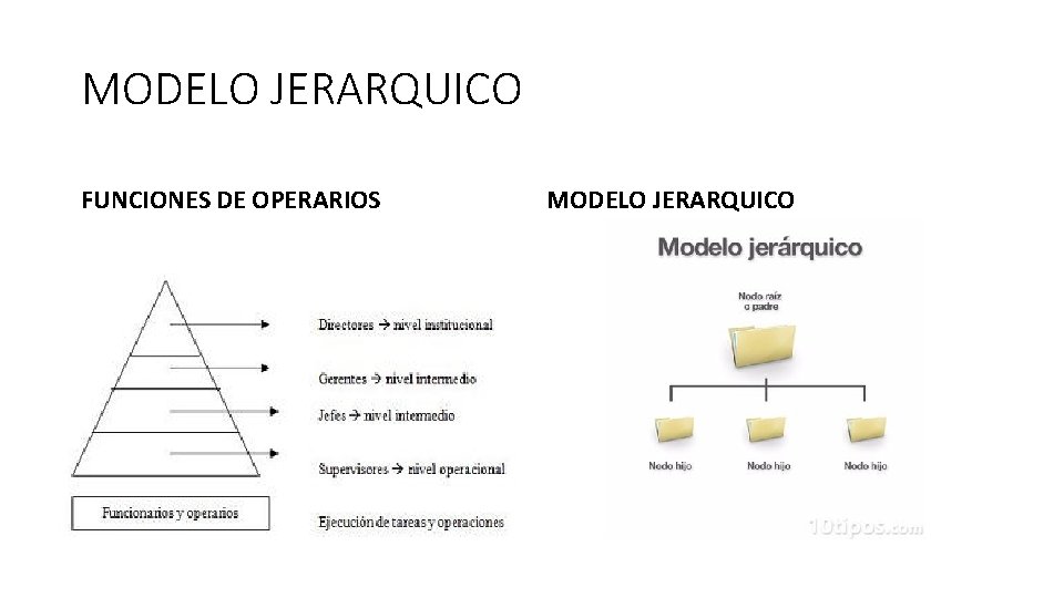 MODELO JERARQUICO FUNCIONES DE OPERARIOS MODELO JERARQUICO 