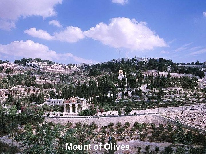 Mount of Olives 