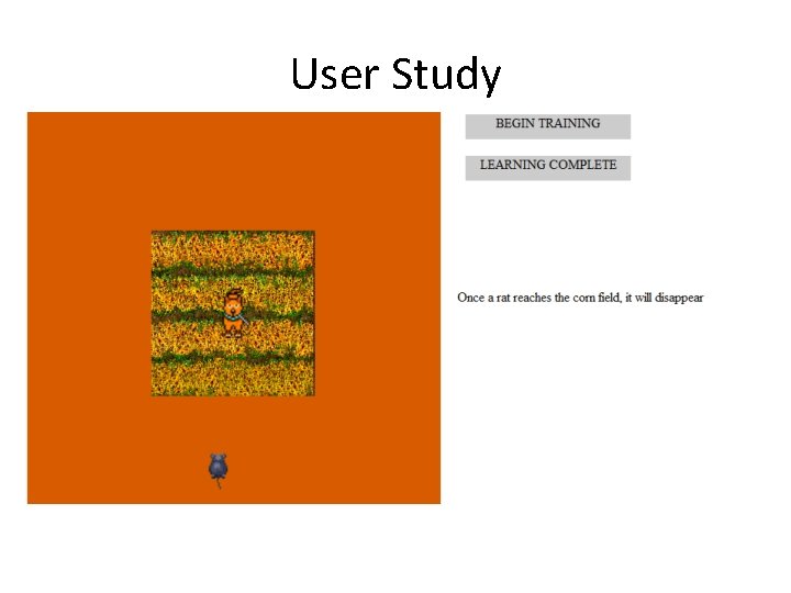 User Study 