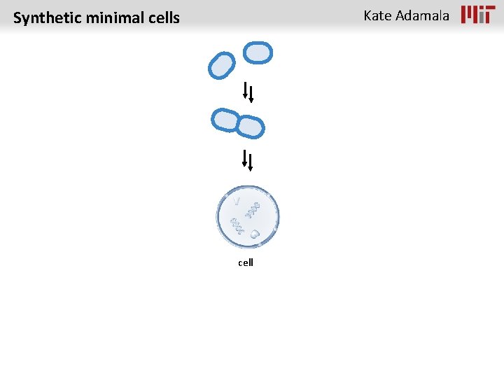 Kate Adamala Synthetic minimal cells cell 