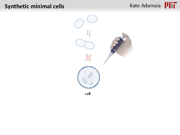 Kate Adamala Synthetic minimal cells cell 