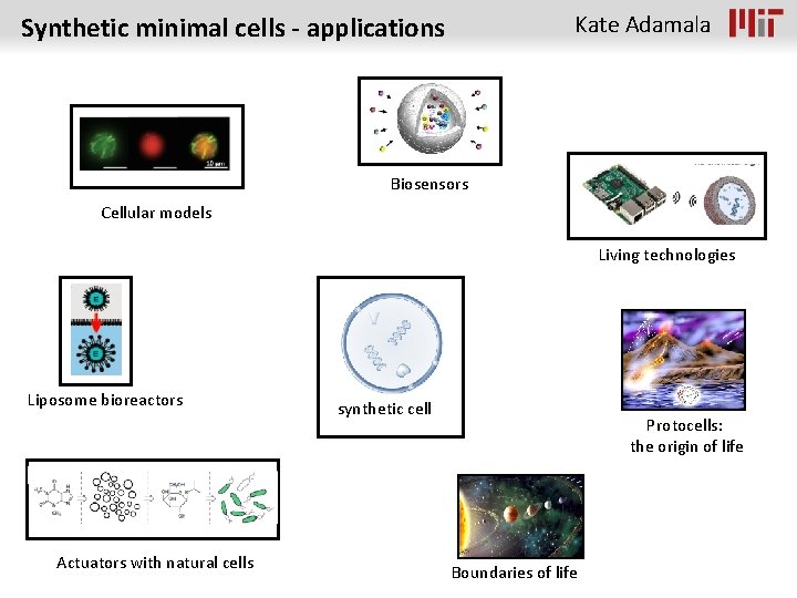 Kate Adamala Synthetic minimal cells - applications Biosensors Cellular models Living technologies Liposome bioreactors