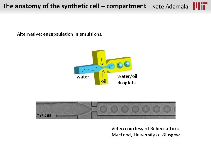 The anatomy of the synthetic cell – compartment Kate Adamala Alternative: encapsulation in emulsions.