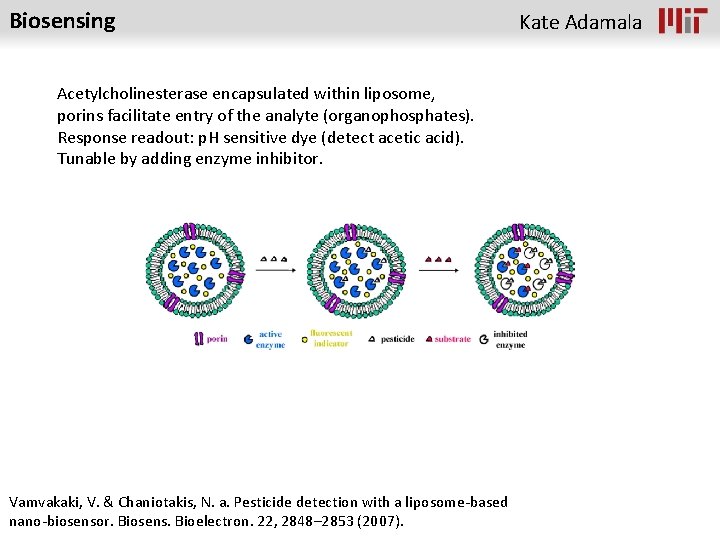 Biosensing Acetylcholinesterase encapsulated within liposome, porins facilitate entry of the analyte (organophosphates). Response readout:
