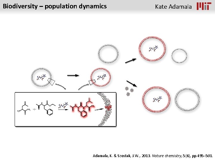 Biodiversity – population dynamics Kate Adamala, K. & Szostak, J. W. , 2013. Nature