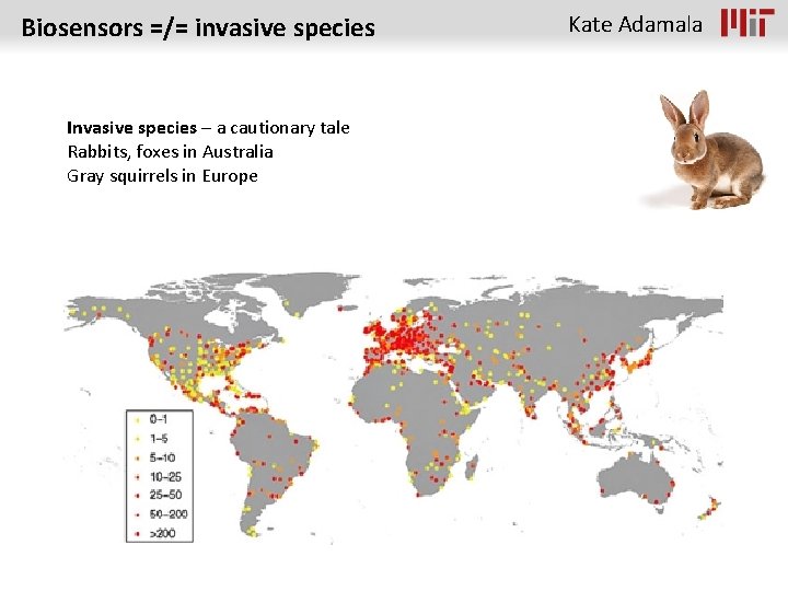 Biosensors =/= invasive species Invasive species – a cautionary tale Rabbits, foxes in Australia