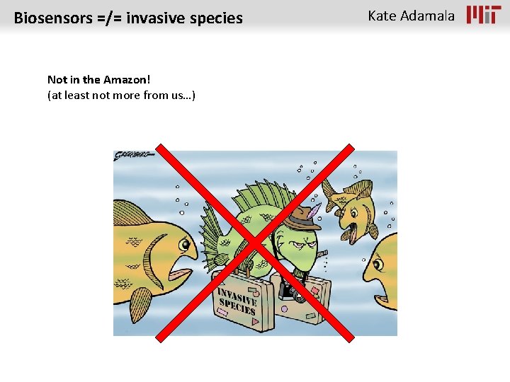 Biosensors =/= invasive species Not in the Amazon! (at least not more from us…)