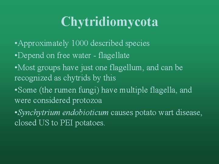 Chytridiomycota • Approximately 1000 described species • Depend on free water - flagellate •